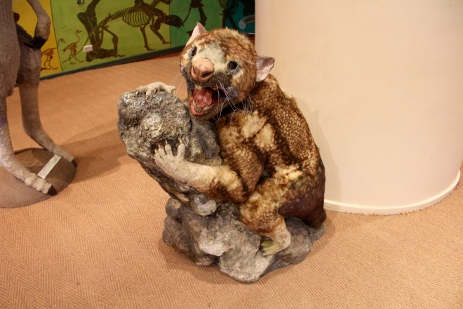 Wood carvings made with chainsaws