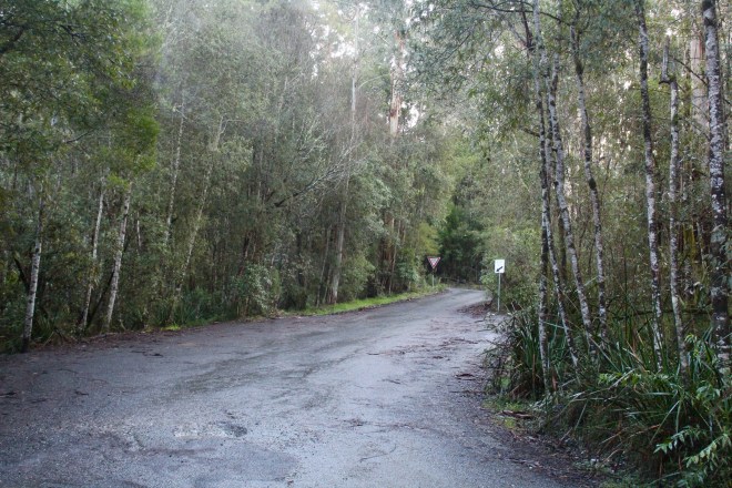 Leaving the rainforest