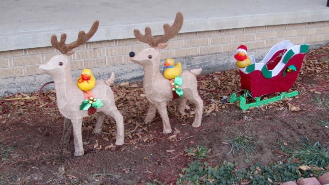 Colorado Traveling Ducks are ready to help Santa on Christmas Eve