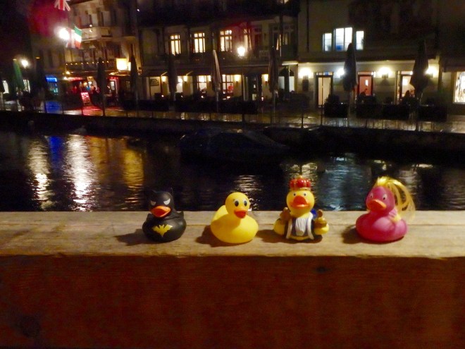 Ms. Ducky and friends. Evening on canal in Amsterdam. Be careful there!