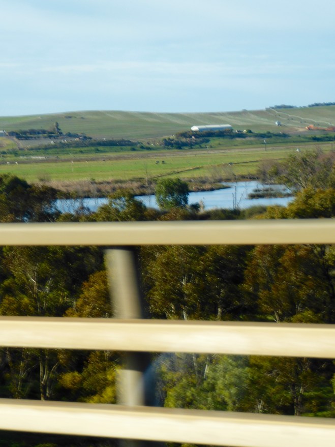 Hilly pasture land east of Adelaide