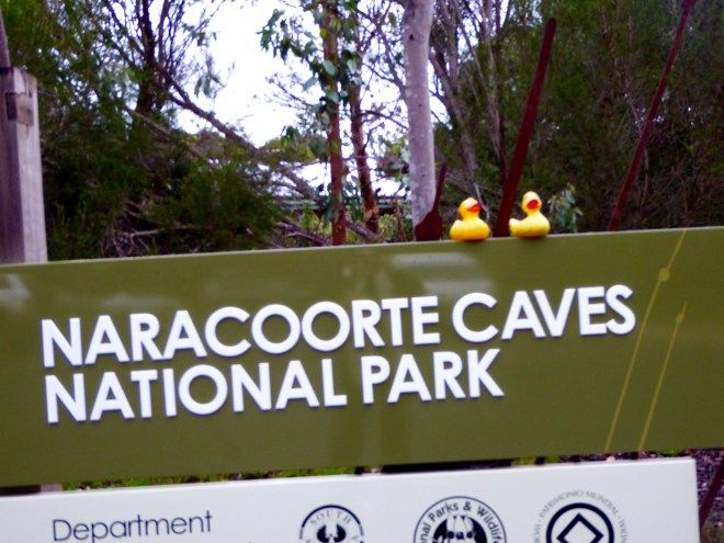 Naracoorte Caves National Park