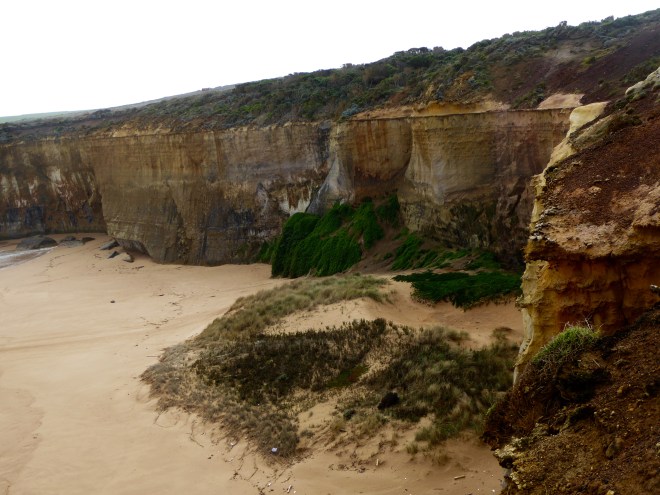 Area for Little Penguins