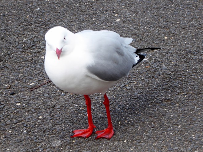 Lady has matching lipstick and shoes