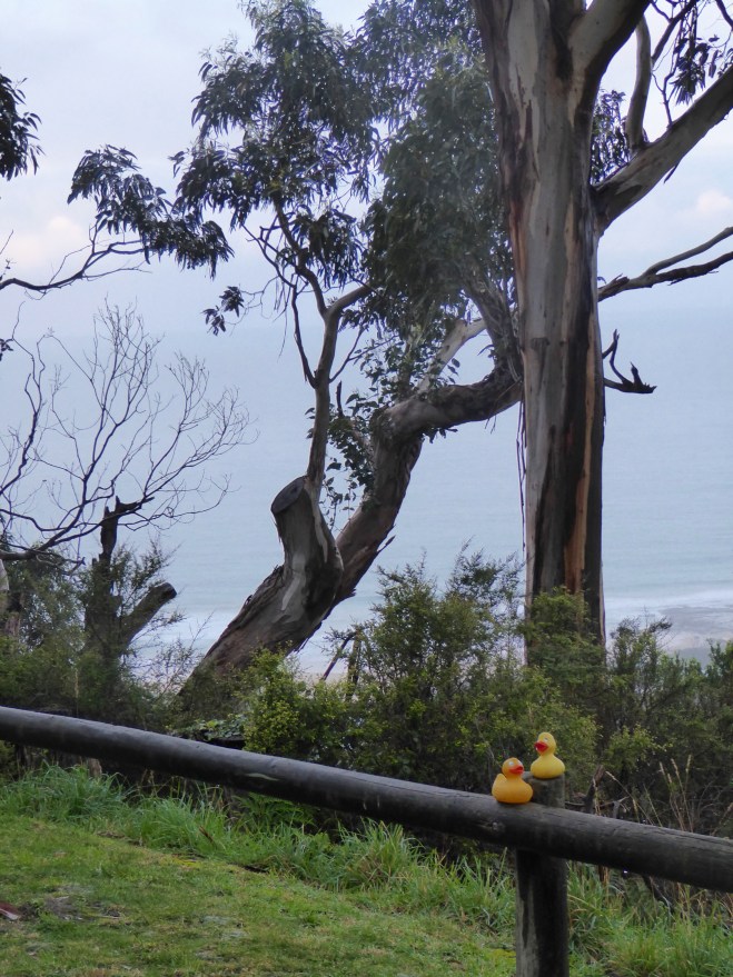 First view of the day