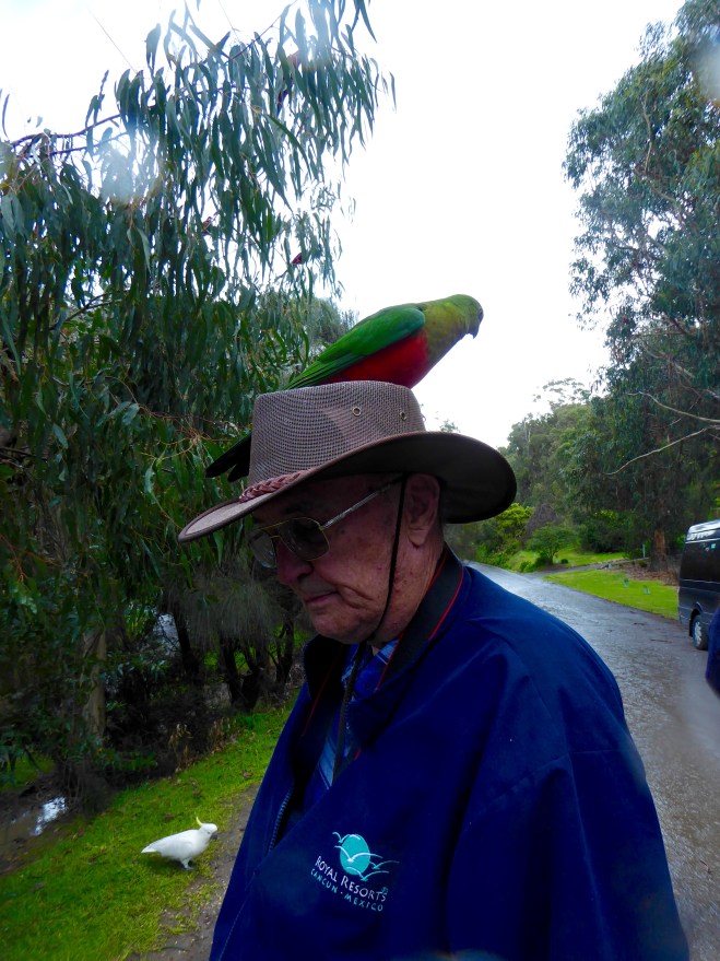 Found a new place to sit while eating