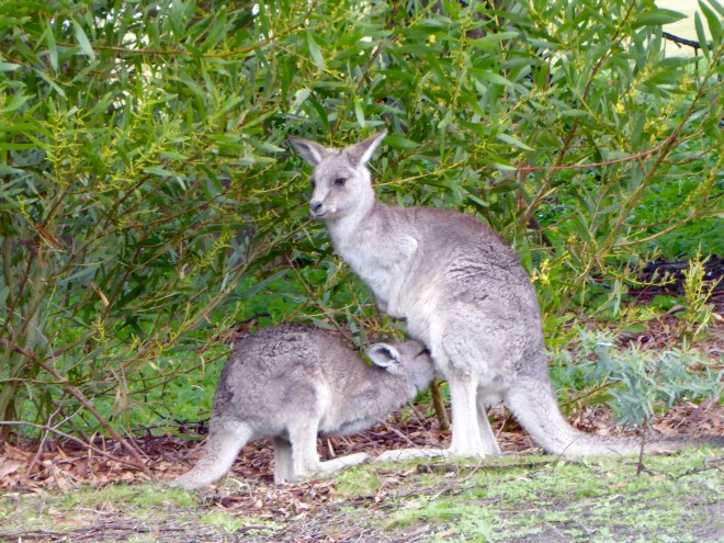 Mom is still the best!