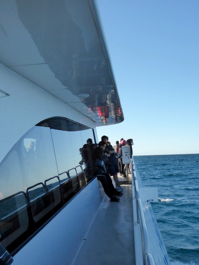 Humans looking for whales