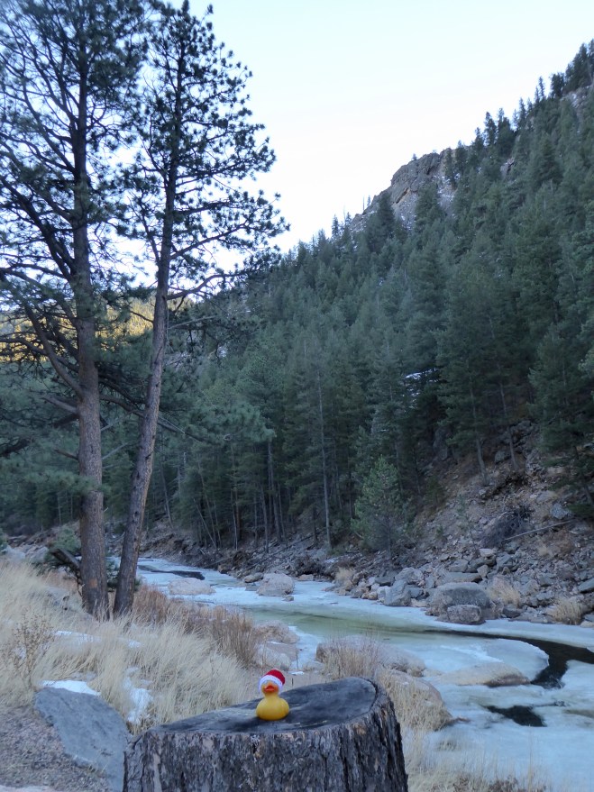 Big Thompson River through the canyon