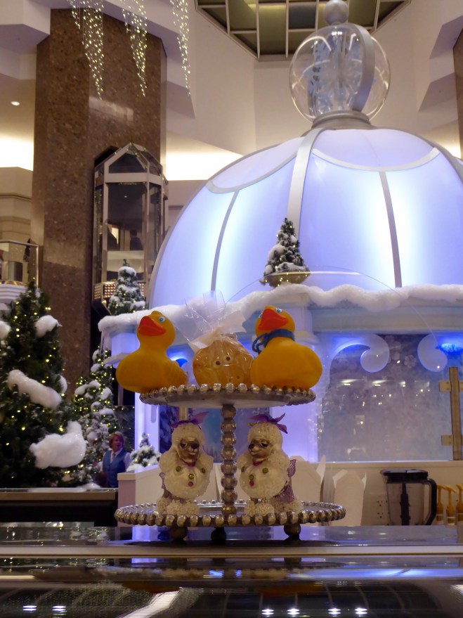 We are getting this cookie!