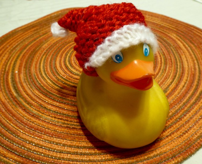 Zeb the Duck with a new Christmas hat