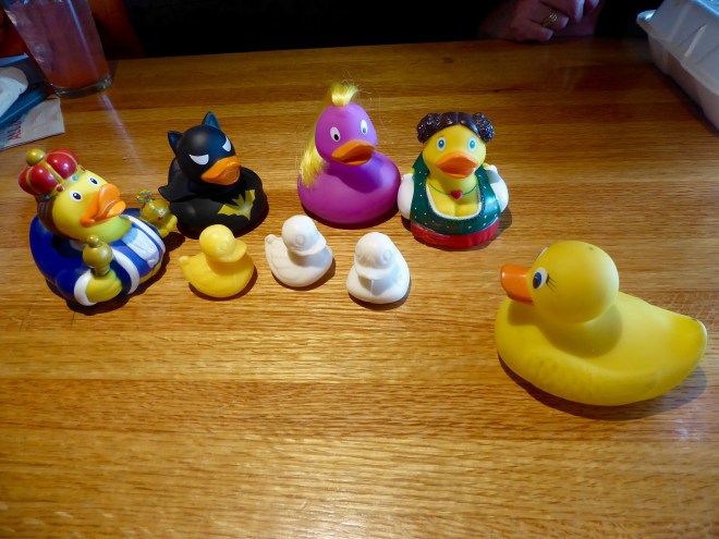 Ms. Ducky brought some friends home to Colorado
