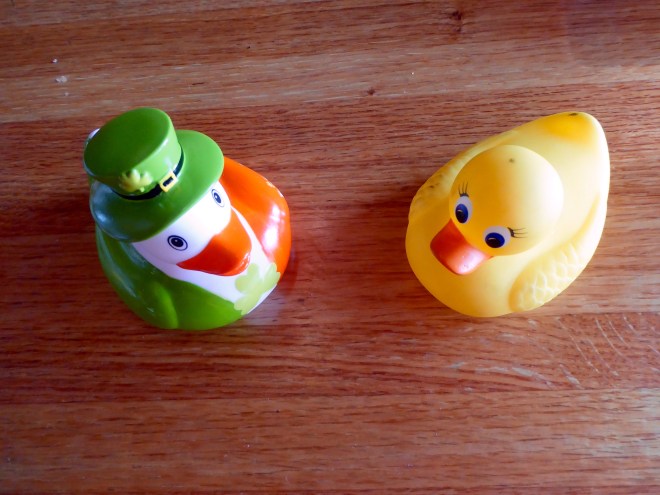 Ms. Ducky and her Irish friend. They both live in Colorado now.