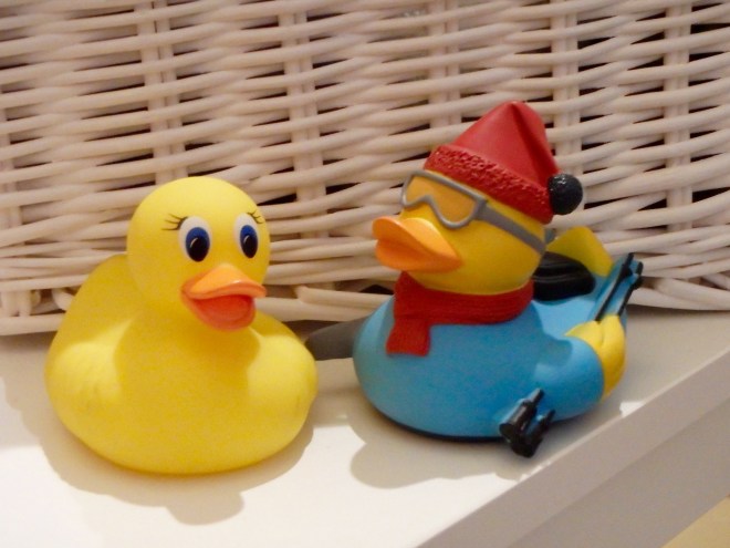 Ms. Ducky and friend