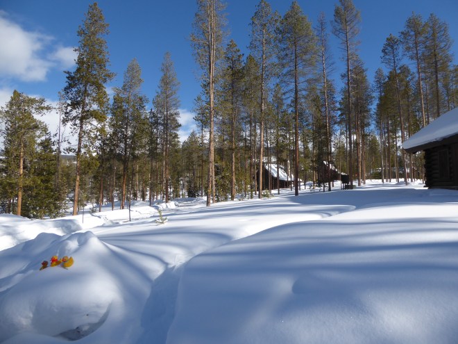 Several cabins but much privacy