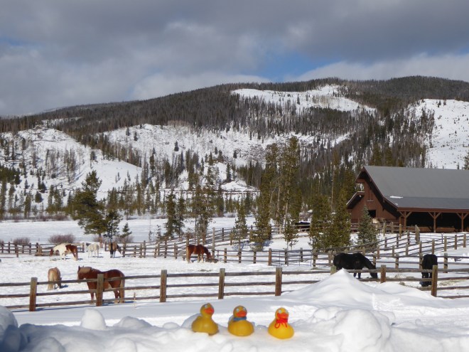 Stables. Want to ride?