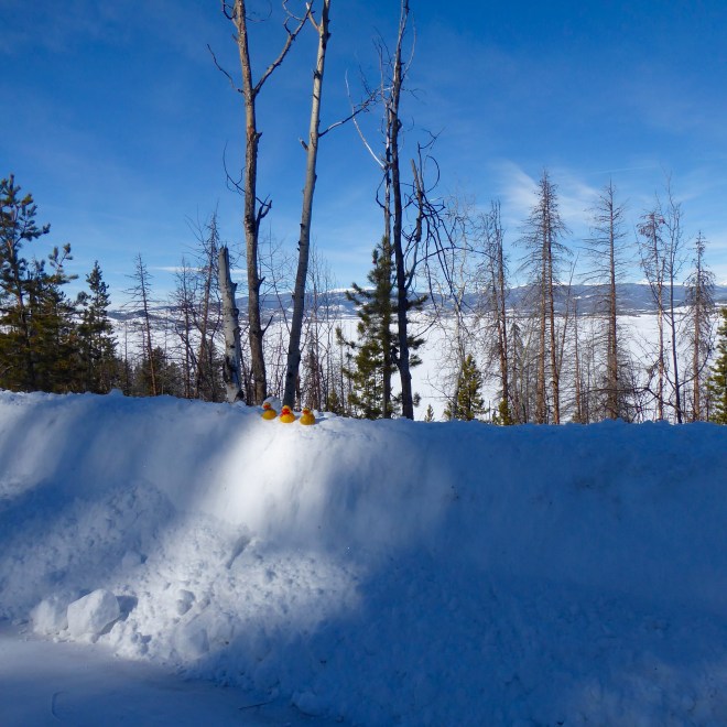 Zeb, Soapy Smith, and JB Duck on cold snow