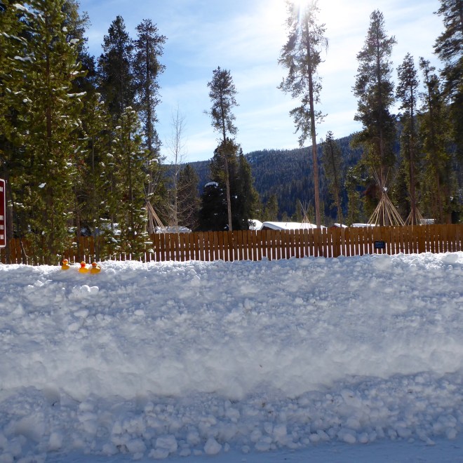 This camping area closed for winter