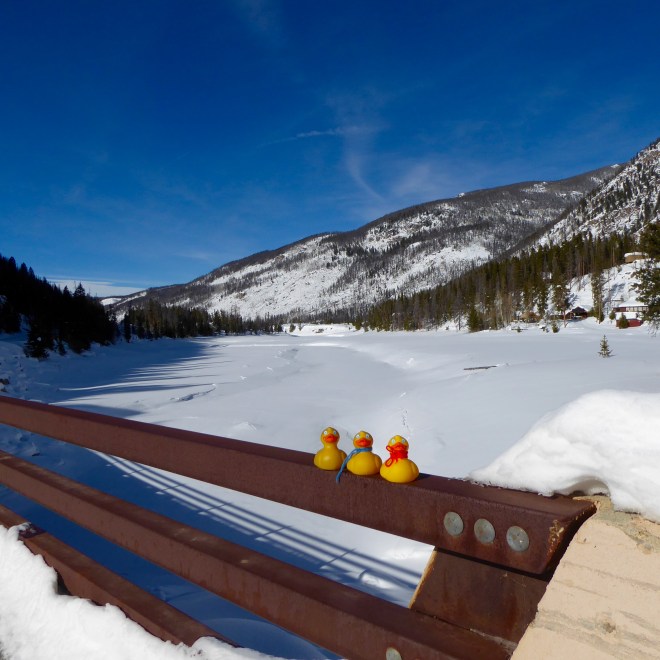 Bridge over waterway between Lake Granby and Lake Monarch