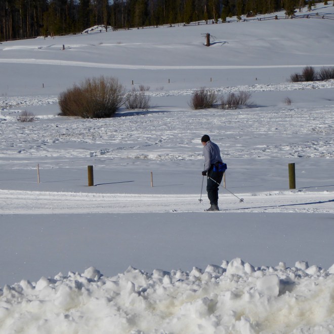 Cross country skiing