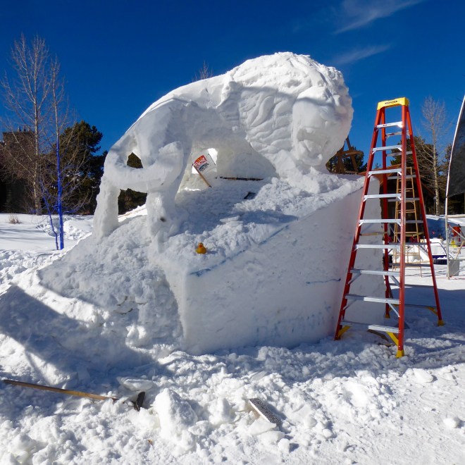 Team Mongolia: Lion and Butterfly