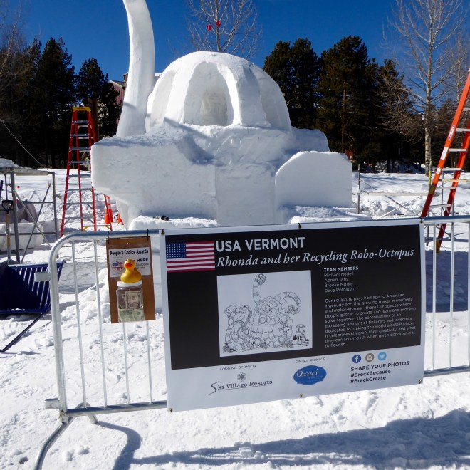 Team USA Vermont: Rhonda and her Recycling Robo-Octopus