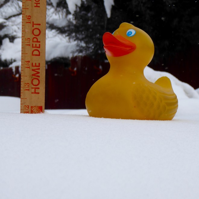 Sitting on 12 inches of fresh snow