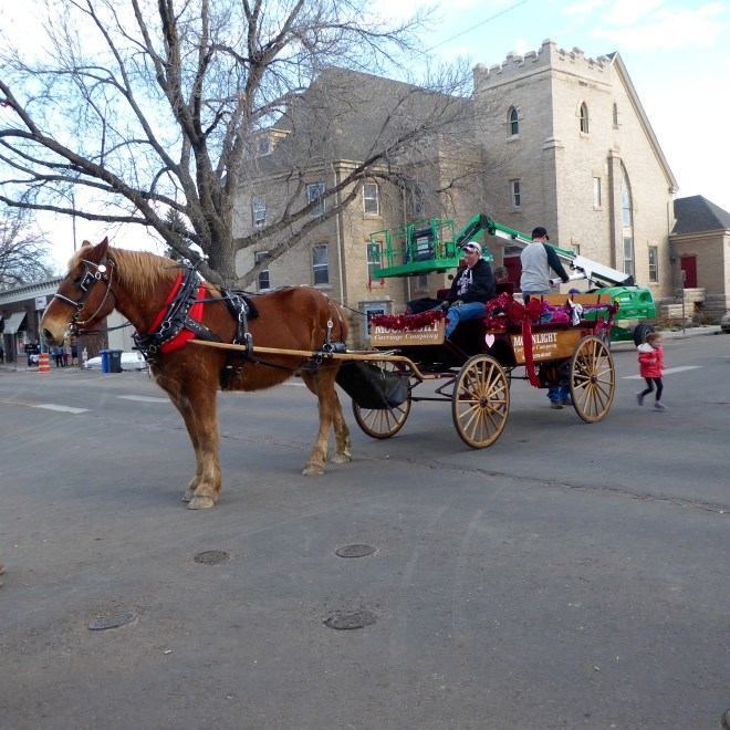 Carriage ride