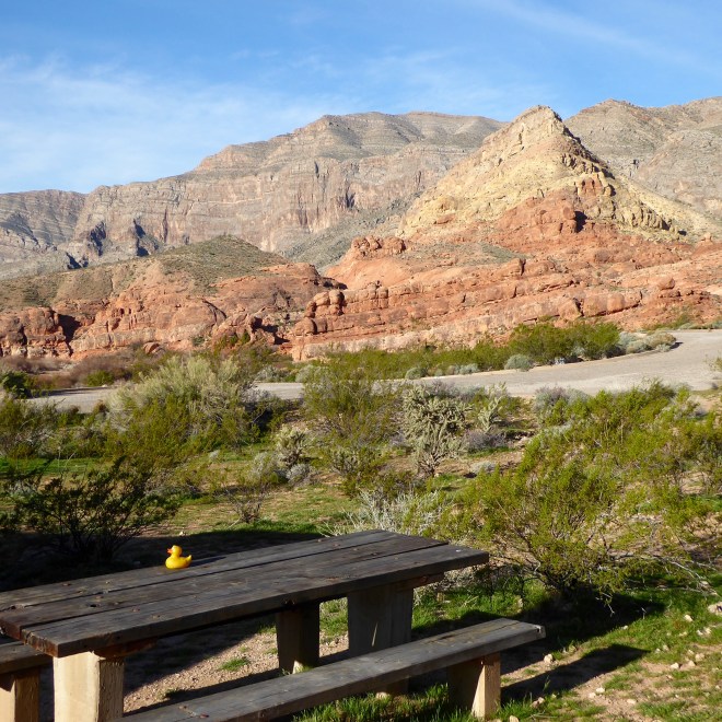 Picnic area at Virgin River Canyon Recreation Area