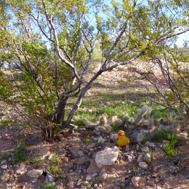 Under the shade of a tree