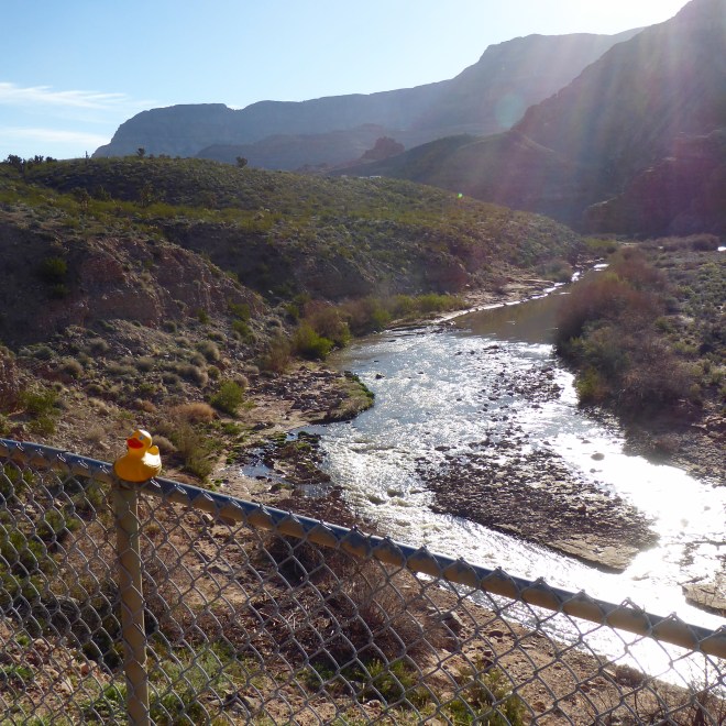 The Virgin River. Rapids and calm places