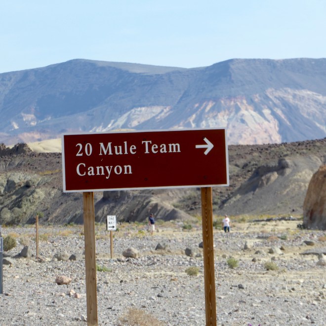 We want to drive in the canyon