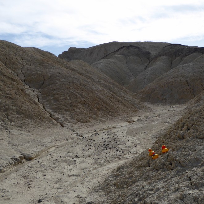 Dried river bed in canyon