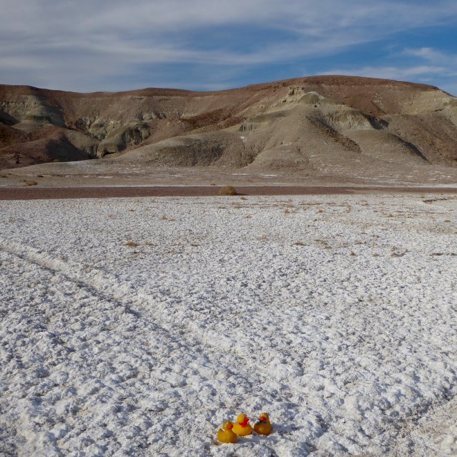 Minerals in Tecopa, CA