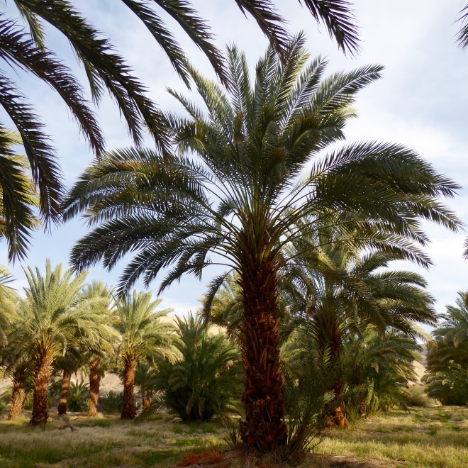 Now we are sitting in the tree bark