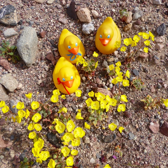 We are in the flowers