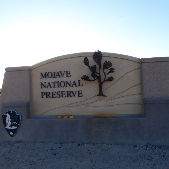 Mojave National Preserve