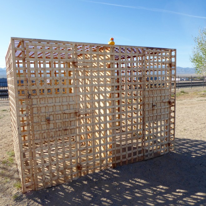 Kelso Jail with Soapy