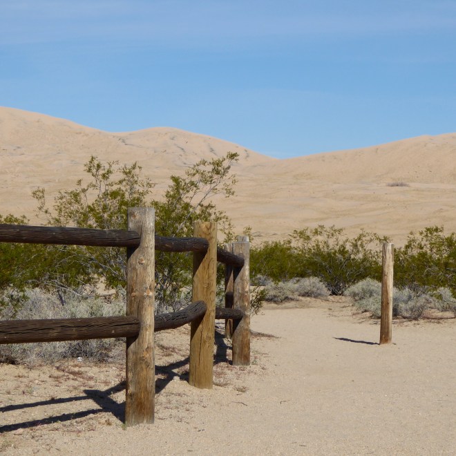 A path to the Kelso Dunes