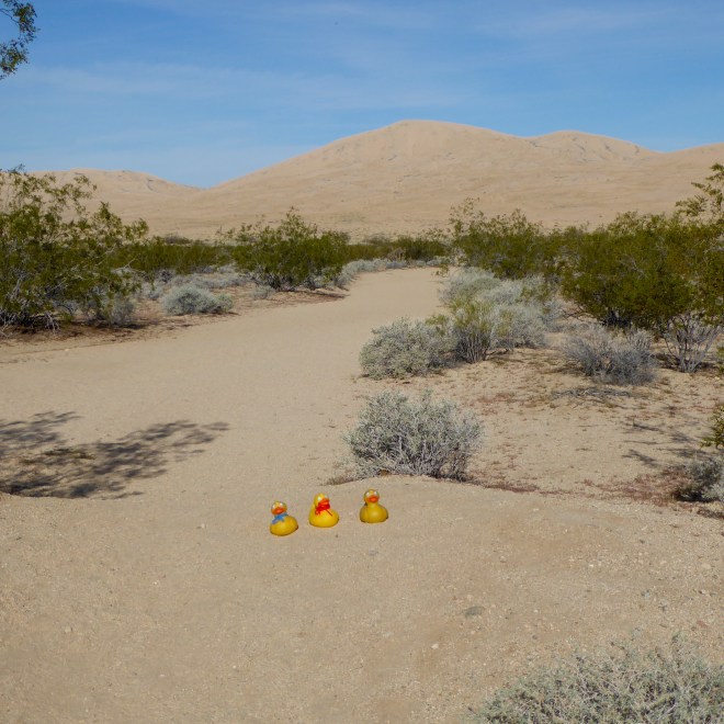 Let's walk to the Dunes