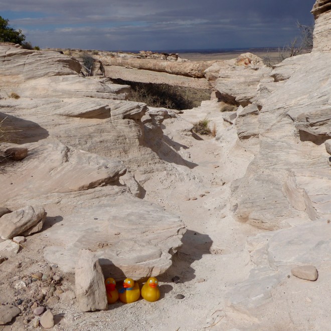 There is a river bed under the bridge