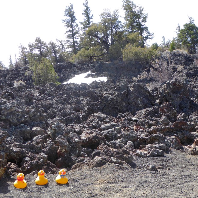 Scattered lava rocks