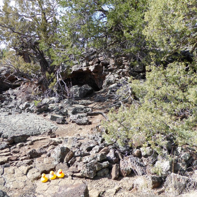 Native American Indians used the lava tube like a cave.