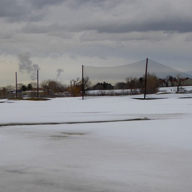 Can you see more grass here?