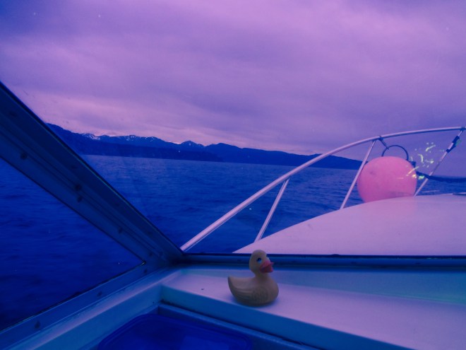 Through tinted windshield