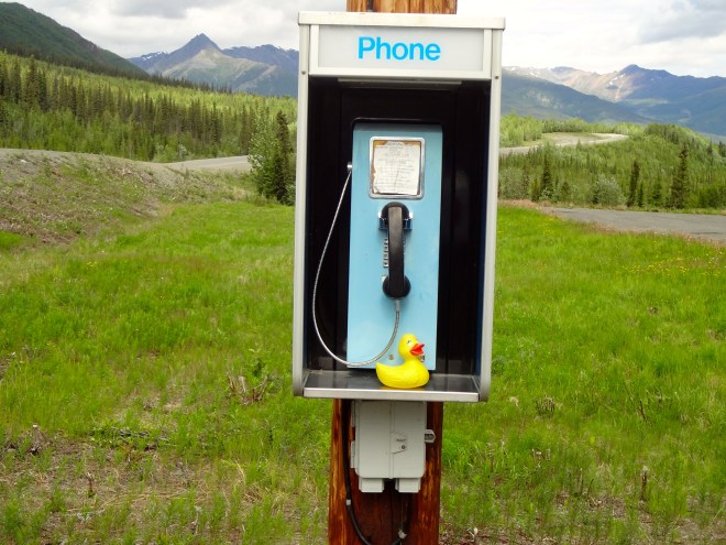 Eider tried to call me, Zeb the Duck.