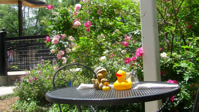 Zeb, Channel and Caped Crusader