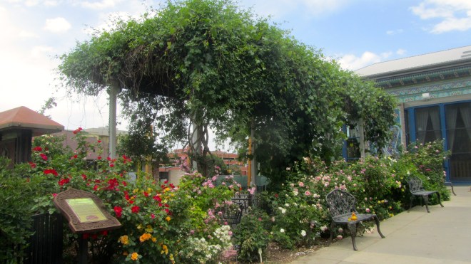 So sad to leave. We come back often