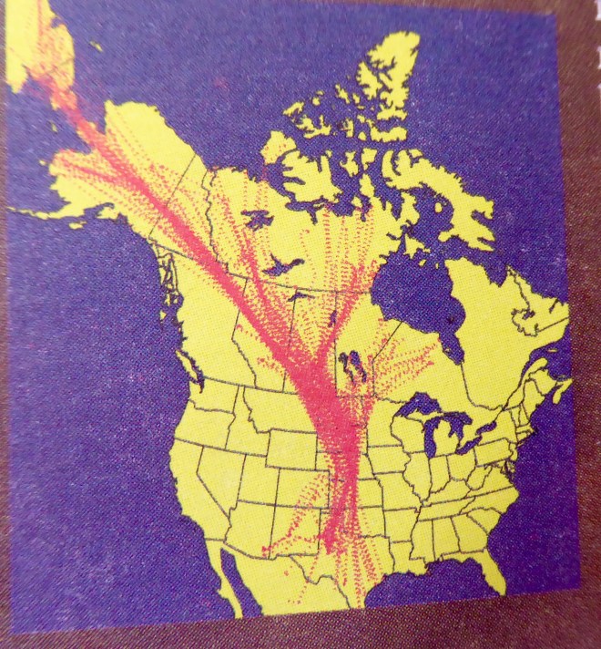 Sandhill Crane migration path