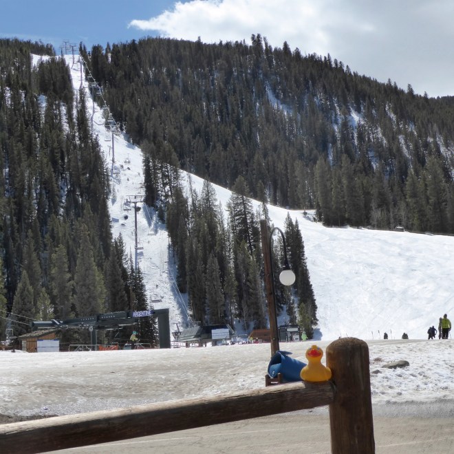 Too tall for a small duck